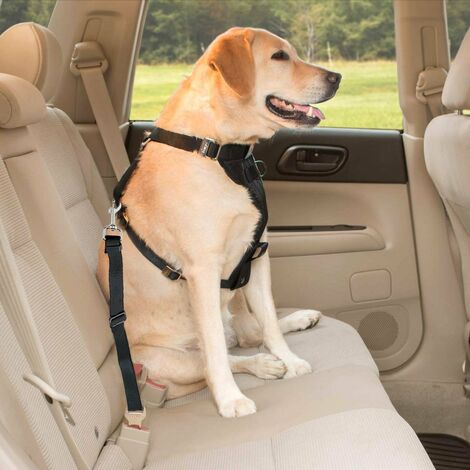 Ceinture Chien Voiture,【2 Pièces】 Harnais Voiture Chien Voiture Universel,  Ceinture De Sécurité Chien Indéchirable Durable