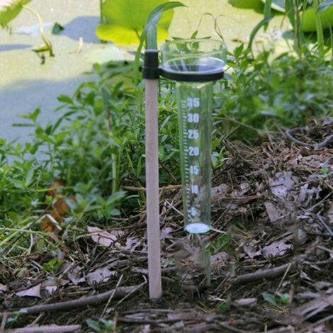 Pluviomètre, pluviomètre en verre avec pieux métalliques, outil de mesure  de pluie, jardin, Cour, pluviomètre décoratif