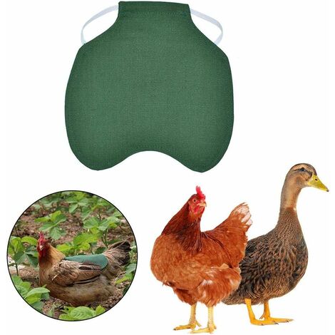 Selle De Poulet Thermique, Facile à Mettre Sur Un Tablier De Poule