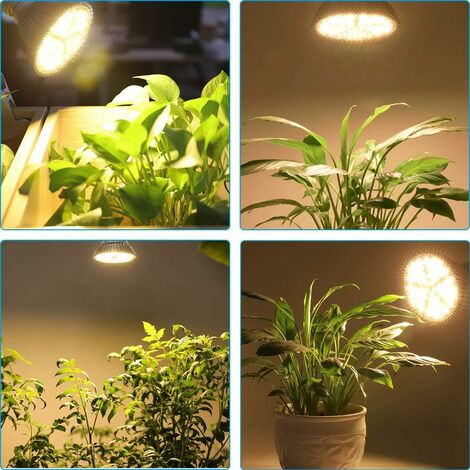 Lampes de croissance LED pour plantes d'intérieur, spectre complet,  éclairage pour serre, pour tomates, poivres