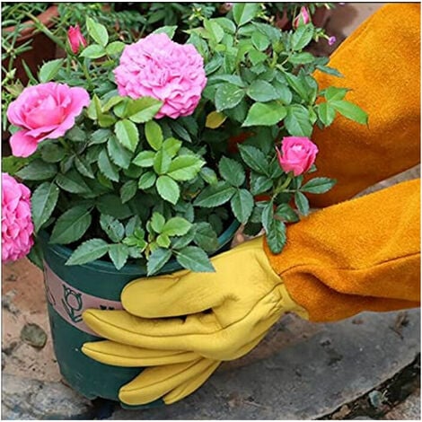 Mitaines de jardinage en cuir gants d'élagage de café outil gants