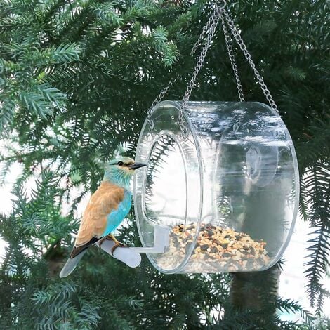 Mangeoire à oiseaux Transparent à fixer sur fenêtre : Observation