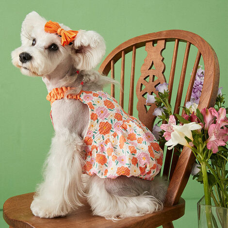 Animal de compagnie Chiot Fille Robe Chien Sangle Plage Style