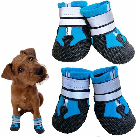 Chaussette pour chien discount extérieur