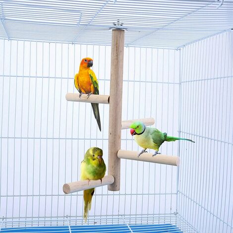 Support en bois naturel pour oiseau perroquet, cage à perroquet, branches  en bois, jouets debout pour