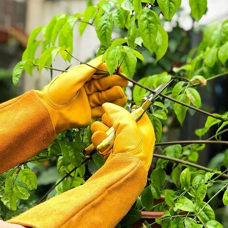 Gants de Jardinage en Cuir pour Hommes et Femmes, Paire de Gants de Travail  Résistants aux