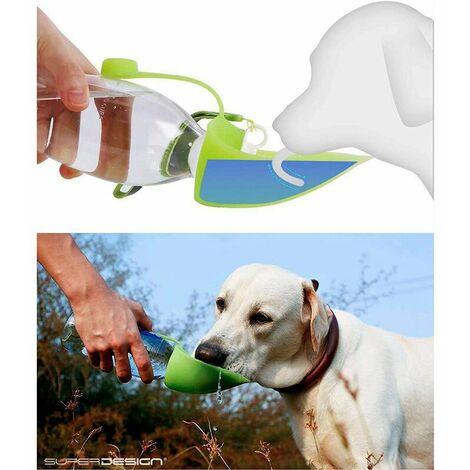 Bouteille d'eau pour chien pour la marche, Distributeur d'eau pour animaux  de compagnie Récipient d'alimentation Portable avec bol de tasse à boire  Randonnée en plein air, Voyage pour chiot, chats, hamsters, R