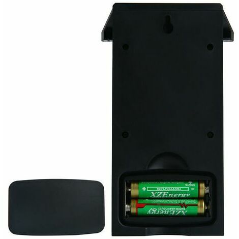 FISHTEC Lot de 2 - Thermometre Mini Maxi - Affichage Digital