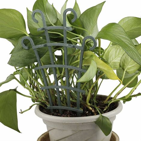 Support pour Plantes Grimpantes Noir Obélisque - Élégant et Durable -  Hauteur 110cm 