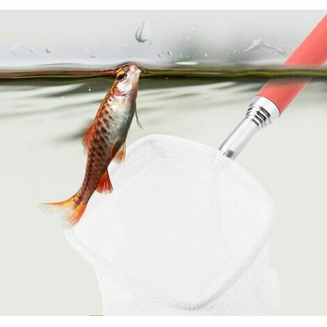 Piège à appâts de pêche portable, piège à anguille, pot de pêche léger,  filet à poisson