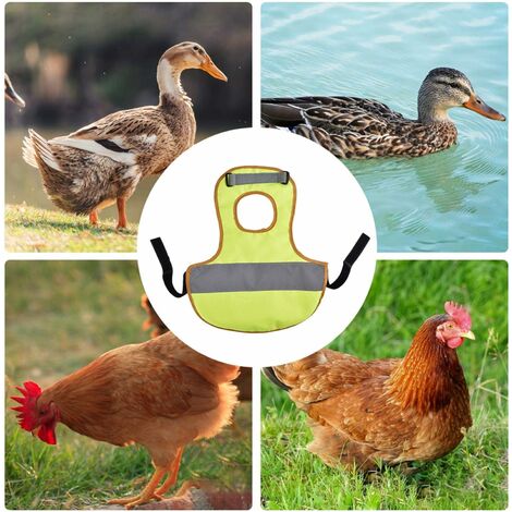 Poulet selle de poulet gilet pour animaux de compagnie tablier de