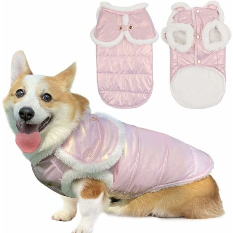 Habit de neige discount chien