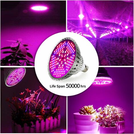 Lampe pour plantes d'intérieur - 50 W - À spectre complet - Culot