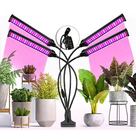 Lampe LED Horticole Avec Trépied-4 têtes Lampe pour Plantes Interieur,  Spectre Complet Lampe de Croissance pour Semis-Floraison - Cdiscount Jardin