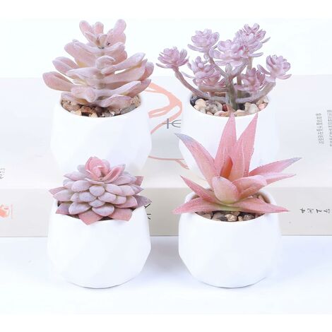3 Pièces Petit Pot De Fleur Pour Plantes Succulentes Mini - Temu