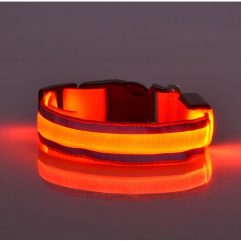 Collier Chien Lumineux Led - Fluo