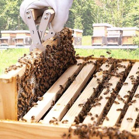 Outils de L'apiculture Support de Cadre Ruche Outil de Préhension avec  Manche en Bois Équipement