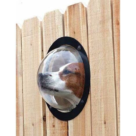 Clôture pour chien de compagnie Fenêtre à bulles, dôme en acrylique durable  Clôture de
