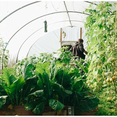 Jardin Légumes Plante Protection Filet 5/15M Maille Fine Insecte 5-15mm