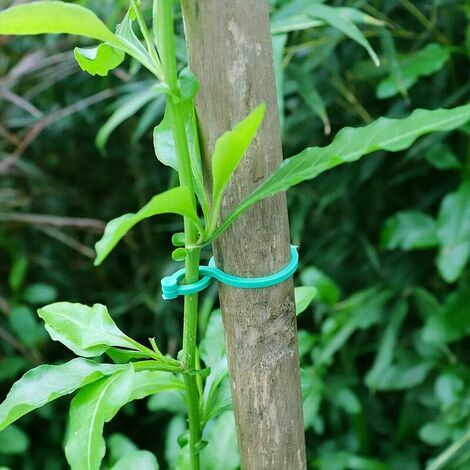 200 Pièces Clips de Jardin Support pour Plantes Twisty Anneaux