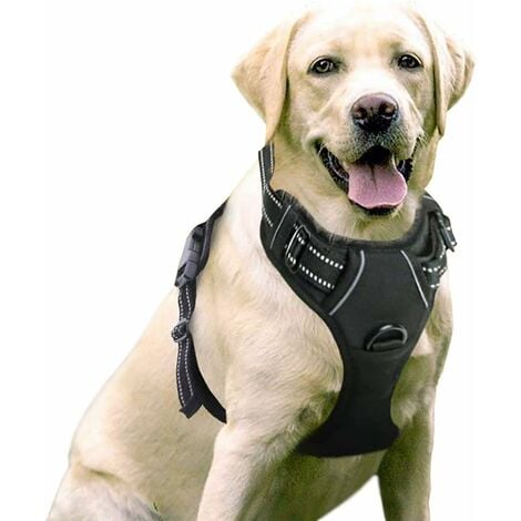 Porte-chien noir réfléchissant anti-traction avec attache frontale réglable  et crochet de ceinture, adapté à la randonnée et aux voyages en voiture.