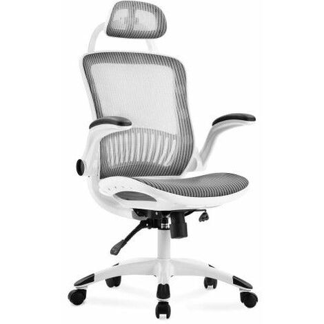 Foroo Ergonomic Office Chair with Back Support, Mesh Office Chair with Adjustable Headrest and Armrest, Home Office Chair with Tilt Function and Position Lock