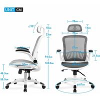 Foroo Ergonomic Office Chair with Back Support, Mesh Office Chair with Adjustable Headrest and Armrest, Home Office Chair with Tilt Function and Position Lock
