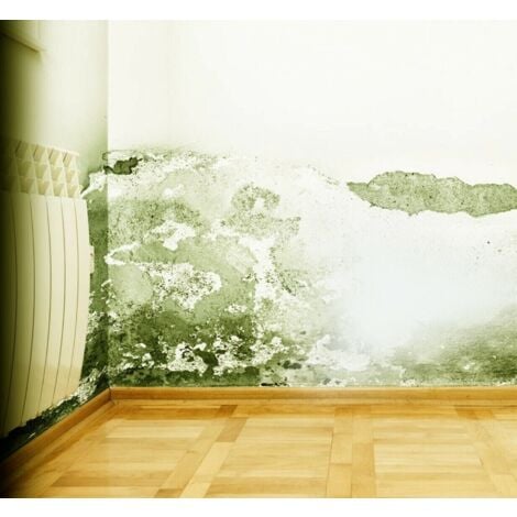 Vernice Bianca Coprimacchia Spray VMD 100 CO Alta copertura cartongesso e  muri