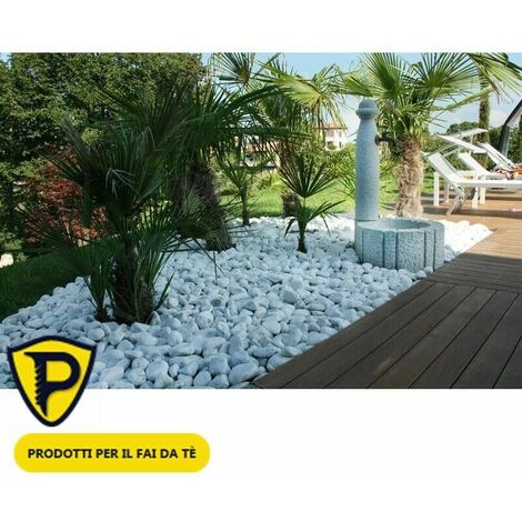 Ciottoli marmo Bianco Carrara 15/25 mm sassi pietre arredo vasi e giardino  20 Kg