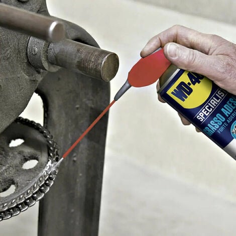 WD40 Specialist lubrificante spray serrature anticorrosivo ml250