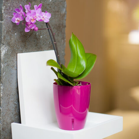 Vaso per Piante da Interno Vaso da fiori for orchidee Creativo