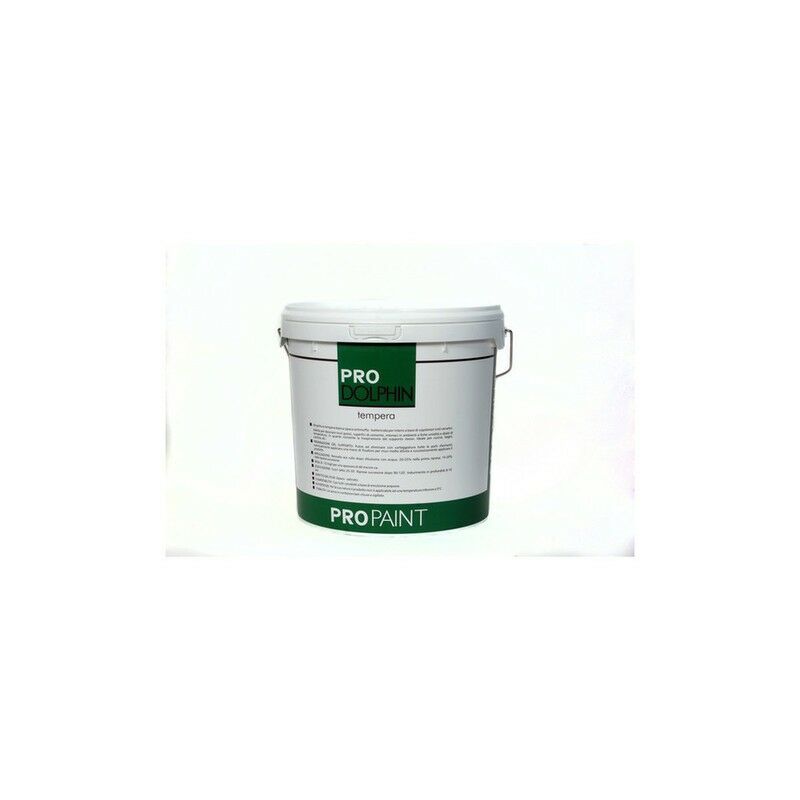 Pittura Lavabile Acrilica Pro White PROPAINT 13 LT | Fercolor