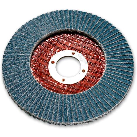 Bosch Fächerschleifscheibe Schleifmopteller 2824 125mm 10er VE gewinkelt, Ausführung: K80 (1/5)