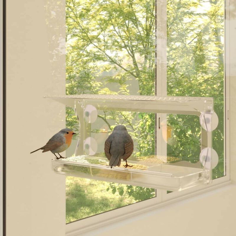 Relaxdays Mangeoire à oiseaux fenêtre, 3 ventouses, Distributeur de  graines, Nichoir, HLP : 15 x 15 x 7 cm, transparent