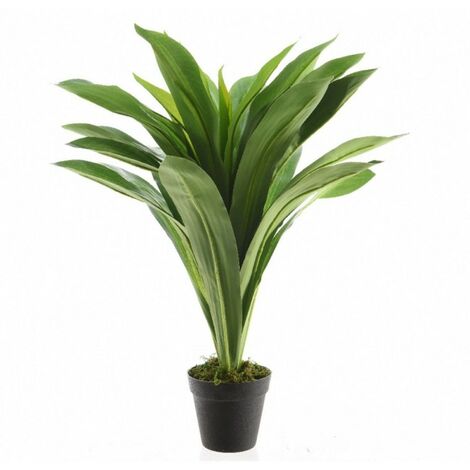 Pianta dracaena con vaso 80cm