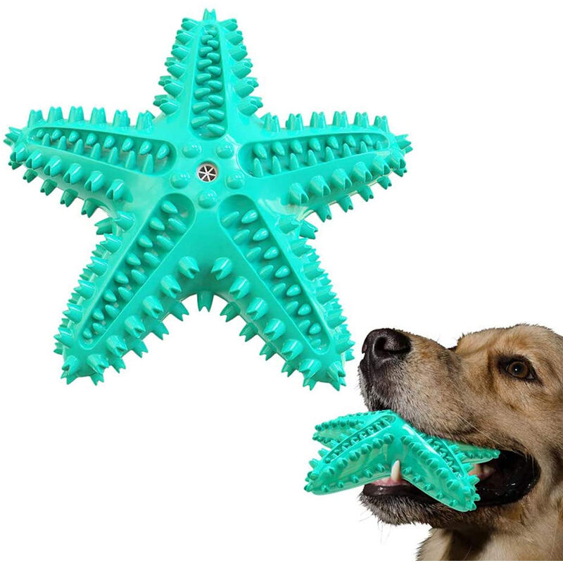 Juguetes masticables para perros pequeños a medianos – Paquete de 10  juguetes resistentes para perros, juguete interactivo de dentición de  cuerda para