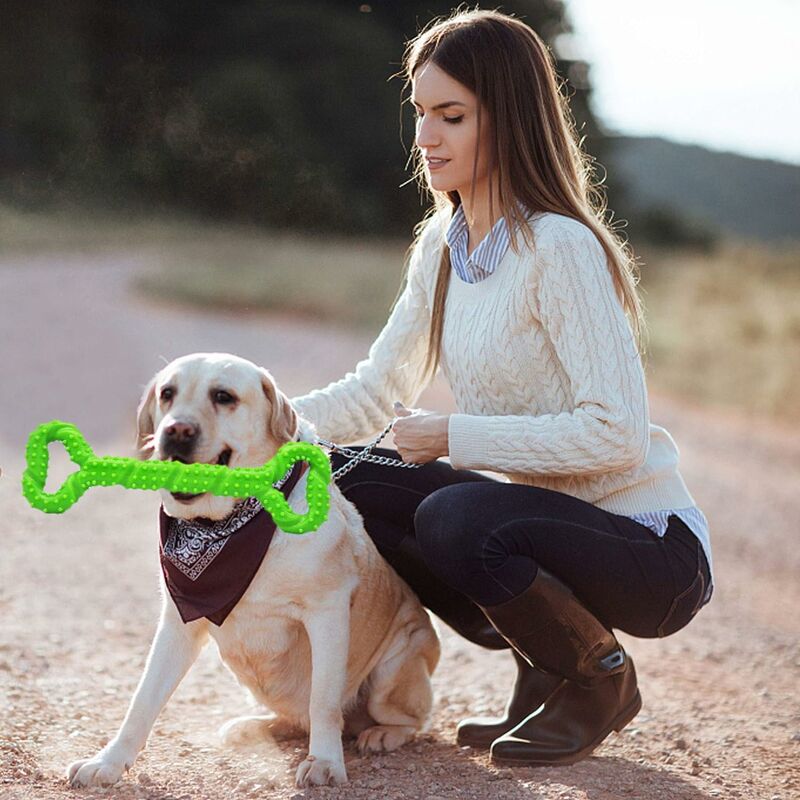 IZETIANZHE Juguetes indestructibles para perros, juguetes para perros para  masticadores agresivos, juguetes resistentes y duraderos para perros