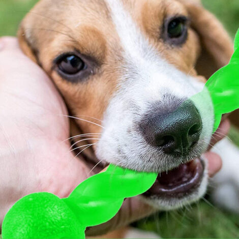 Juguete Para Perro Masticable Y Resistente De Caucho. Color Verde.