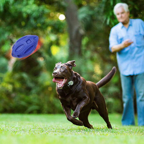 Juguete de frisbee para perros seguro para los dientes, disco volador  flotante al aire libre para perros de razas pequeñas, medianas y grandes