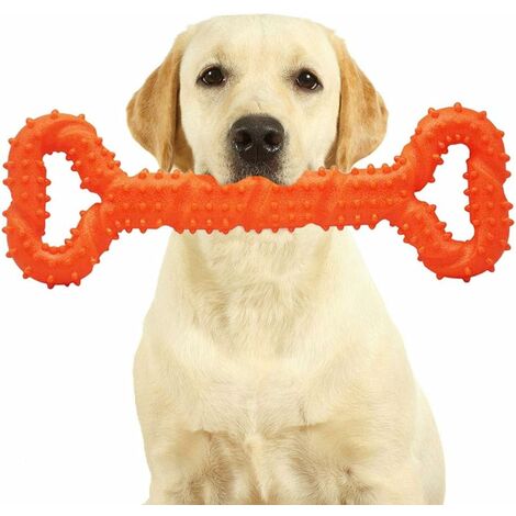 Juguete indestructible para perros, juguete interactivo para masticar perros  grandes, juguete para perros con chirriador de