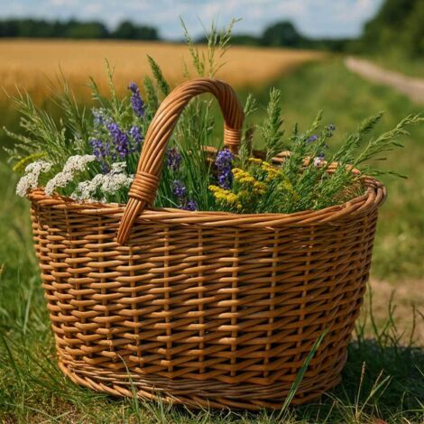 Panier Récolte Fleurs Légumes Panier Ovale - Vannerie Osier Aurélien Métézeau Panier Avec Poignée Verticale Panier Récolte Fleurs Légumes Panier Ovale - Vannerie Osier Aurélien Métézeau Panier Avec Poignée Verticale