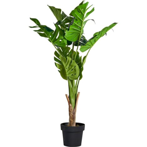 Plante monstera verte décorative au style colonial naturel - Vert feuillage naturel (1/3)
