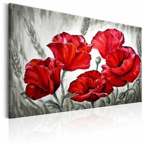 Cadre deco 60x40 cm couleur rouge