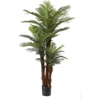 plante verte décorative kentia réaliste pour intérieur - vert feuillage naturel