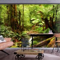 Papier peint Forest Brook - 450 x 315 cm