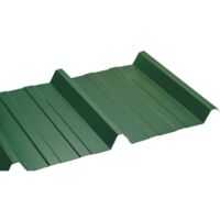 Vassoio in acciaio laccato 1045 50/100 Verde 6009, L: 105 cm, L: 200 cm