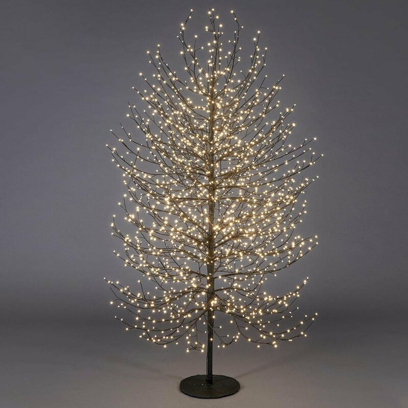 Albero luminoso Faggio tronco lungo rami a microled luce calda da interno  ed esterno / 210 cm / Nero