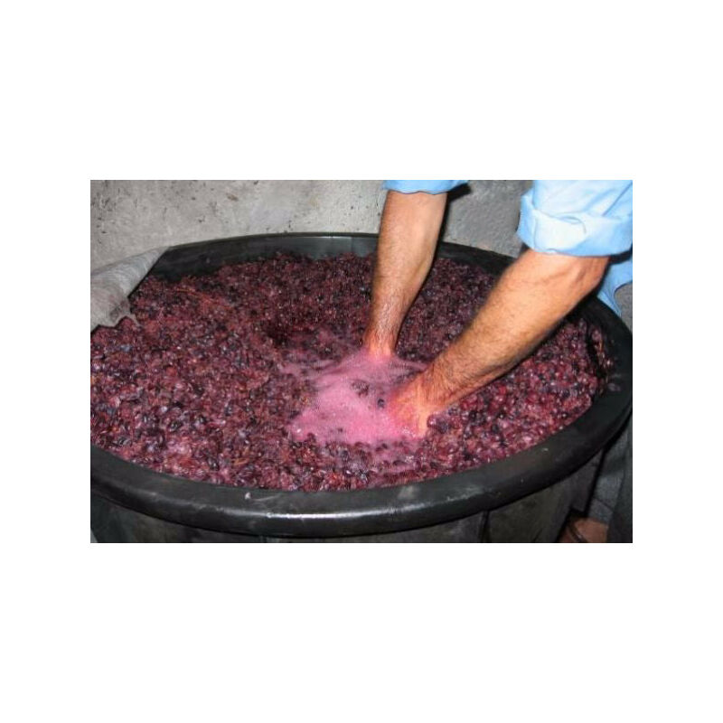 Mastello In Plastica Per Vino - 65 Litri, 2 Manici, Senza Fori - Foto 3