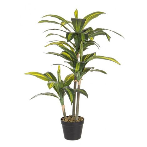 Pianta da giardino bizzotto dracanea 43 foglie h 88 cm con vaso