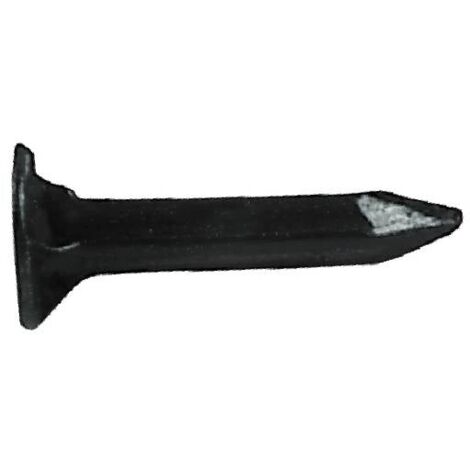 Zootecnica Viterbese - La Scorsa Settimana, Ironizzando Attraverso Il - Foto 2